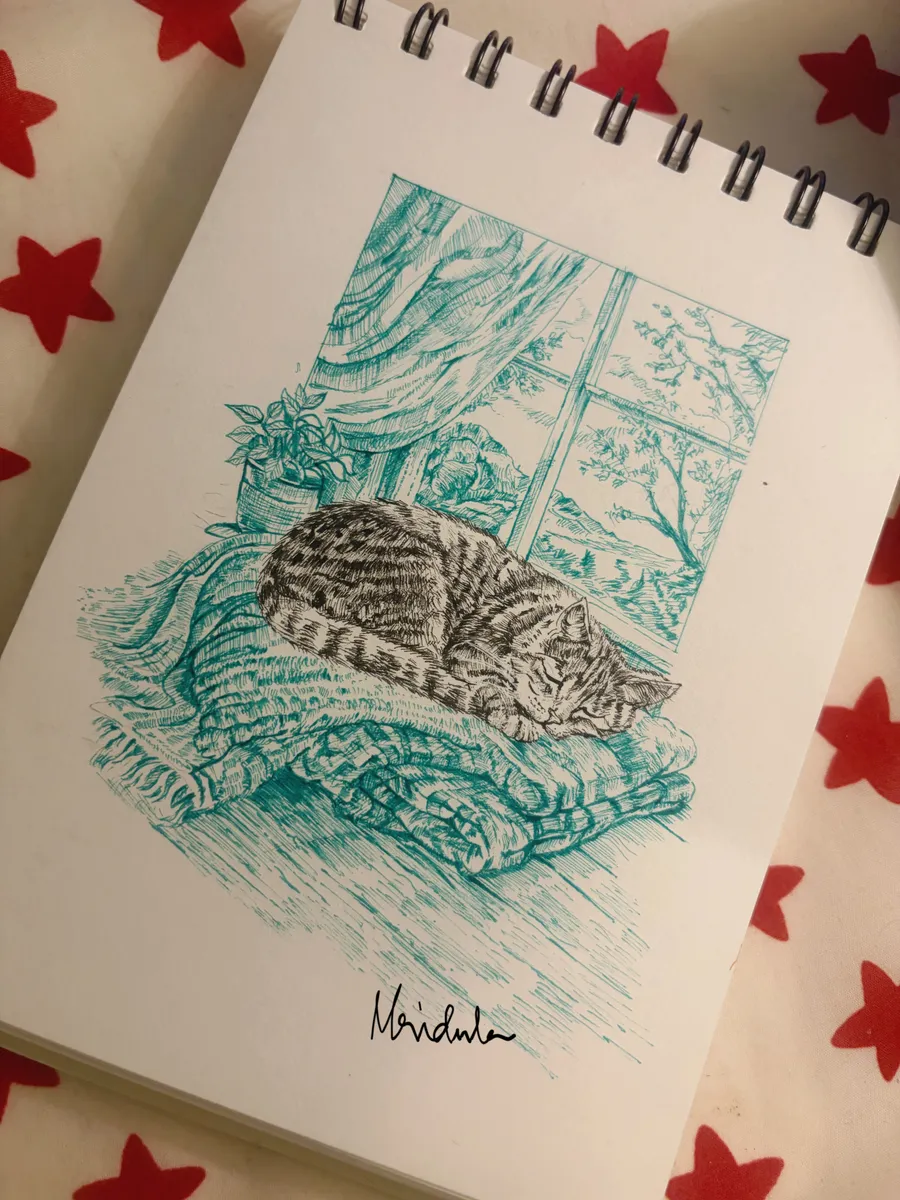 A nap