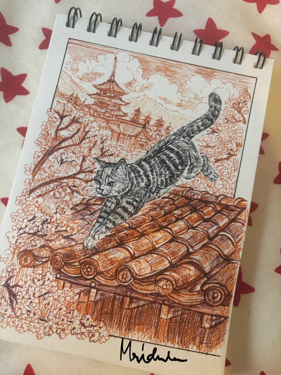 Cat Ninja