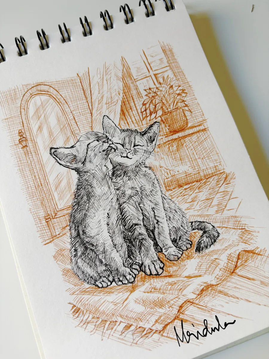 Catter?