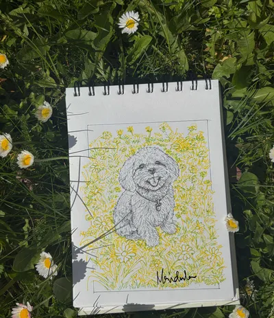 Dog in a daisy bush