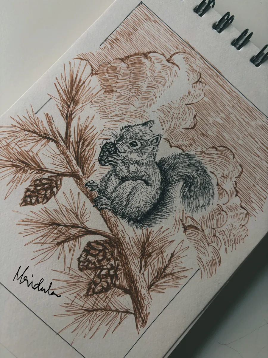 Its nuts