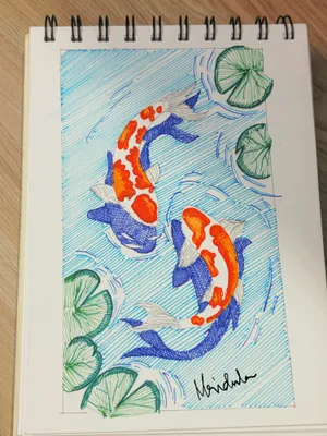 Koi Fish
