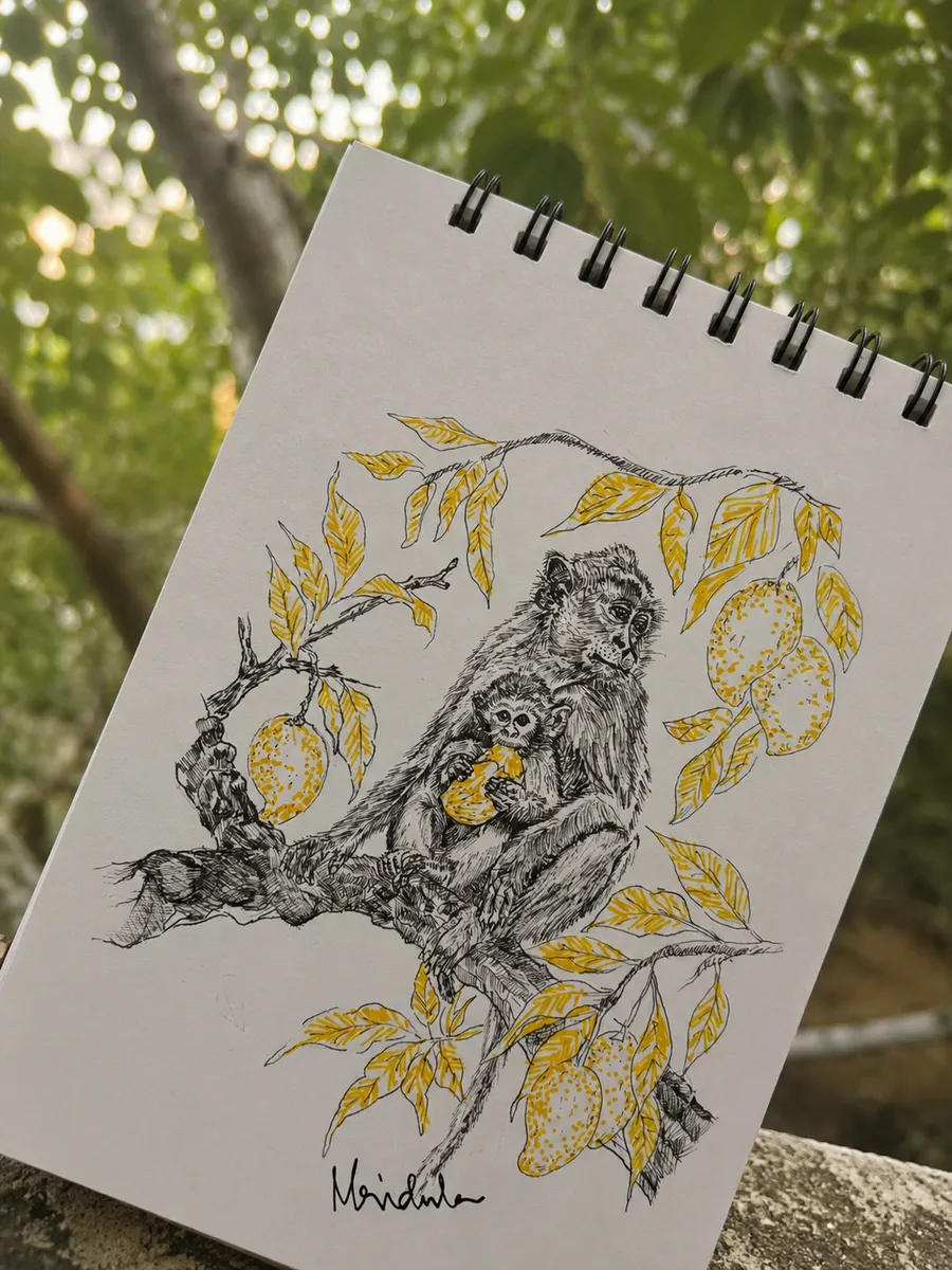 Monkey business