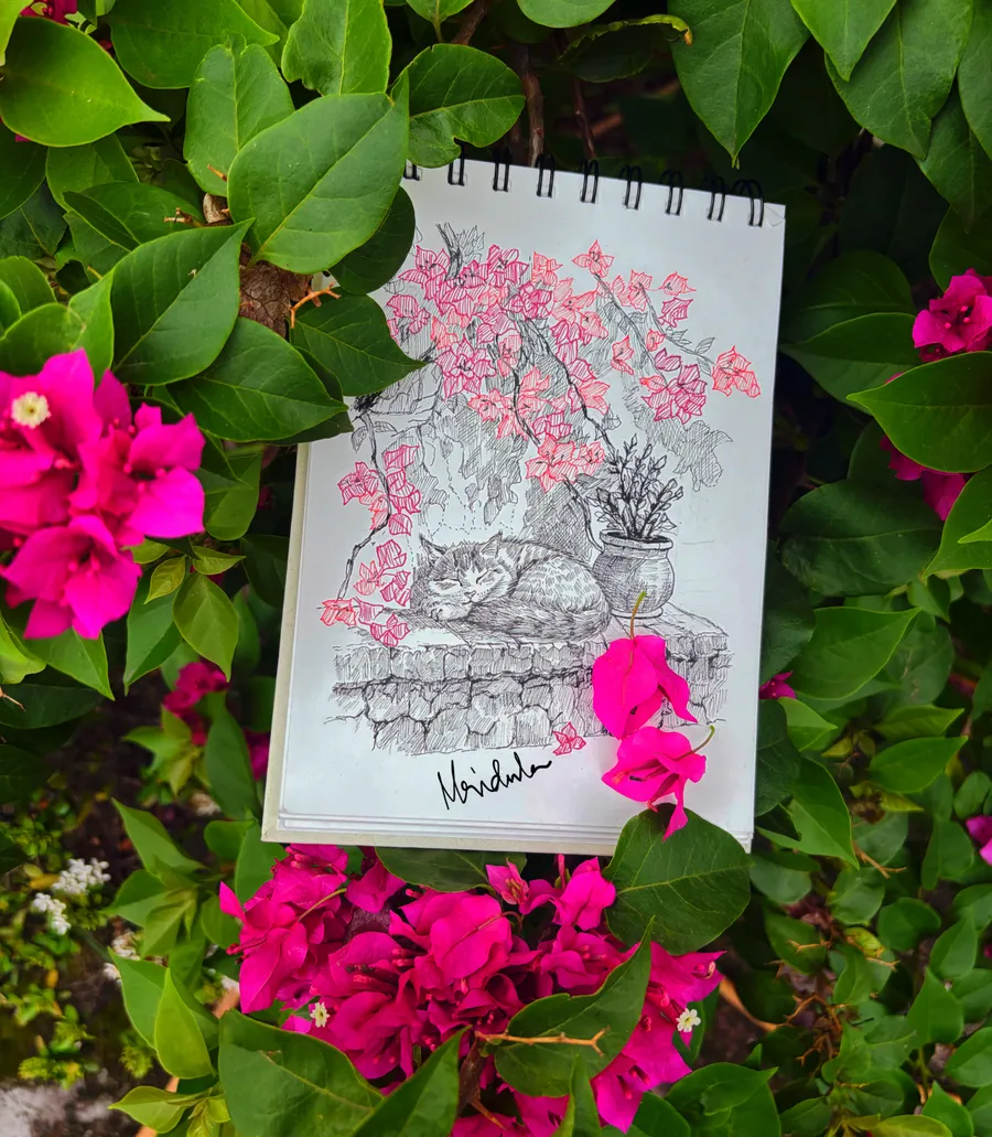 Under the bougainvillea